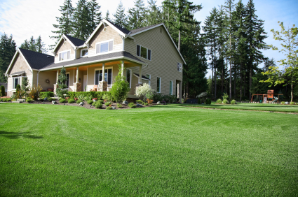 BHLCo's high quality grade fertilizers will provide you with that lush green lawn you have always wanted!  