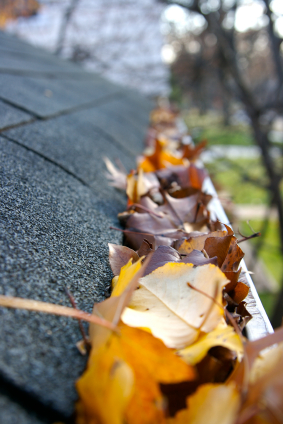 Fall Cleanup - Leaves in Gutter-hudson