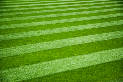 Professional striping of your turf is sure to be admired by all that see it!