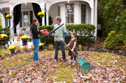 leaf-clean-up-hudson